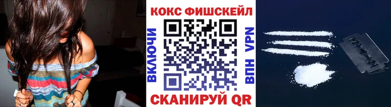 COCAIN FishScale  где найти   Курчалой 