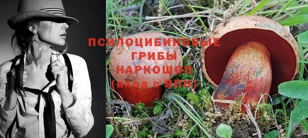 ПСИЛОЦИБИНОВЫЕ ГРИБЫ Коряжма