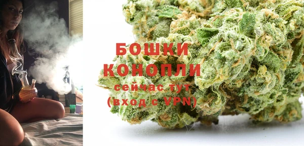 ПСИЛОЦИБИНОВЫЕ ГРИБЫ Коряжма
