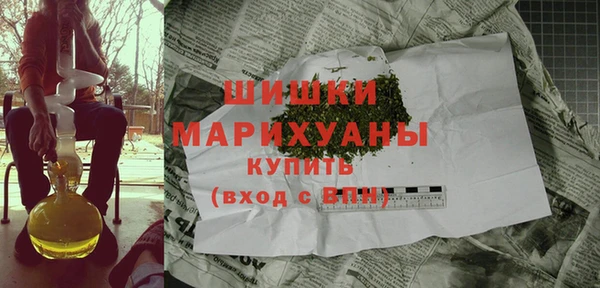ПСИЛОЦИБИНОВЫЕ ГРИБЫ Коряжма