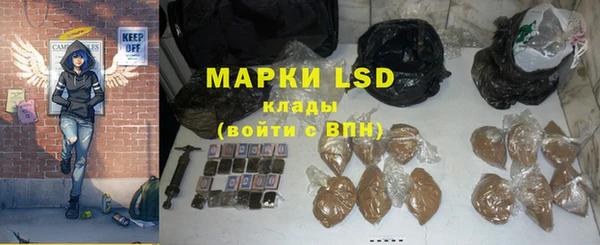 ПСИЛОЦИБИНОВЫЕ ГРИБЫ Коряжма