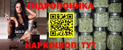 спайс Кинель