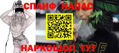 кокс Кингисепп