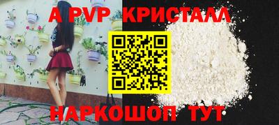кокс Кингисепп