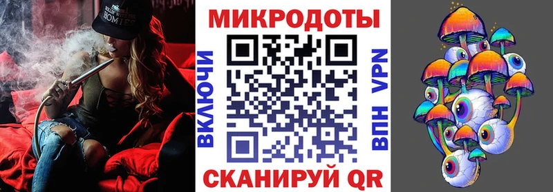 ОМГ ОМГ ссылка Курчалой Галлюциногенные грибы Psilocybine cubensis магазин продажи