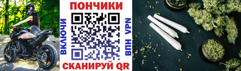 Канабис план  сколько стоит  Курчалой 