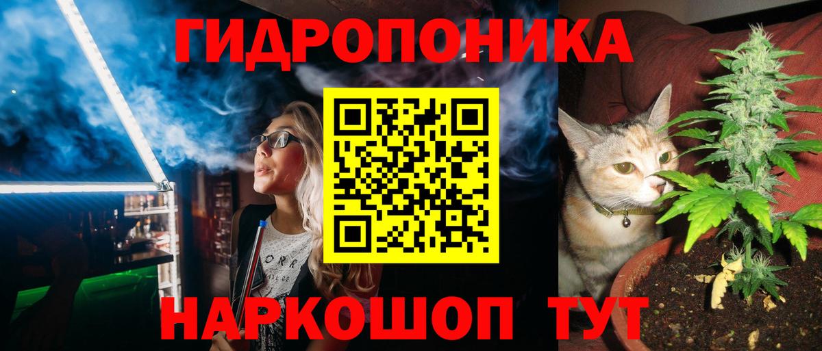 Марихуана ГИДРОПОН  МАРИХУАНА гибрид  Курчалой  Вход с VPN  Конопля Bruce Banner 