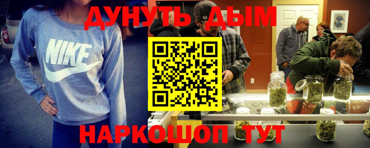 Канабис план Курчалой